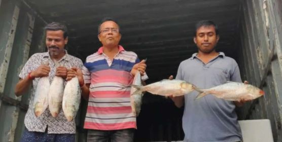 দুর্গাপুজোর আগেই ভোজনরসিক বাঙালির জন্য সুখবর , ৯ টি ট্রাকে প্রায় ৪০ মেট্রিক টনেরও বেশি ইলিশ এল রাজ্যে